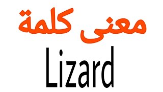 معنى كلمة Lizard | الصحيح لكلمة Lizard | المعنى العربي ل Lizard | كيف تكتب كلمة Lizard