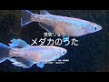 メダカのうた