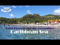 Caribbean cruise, Beach MUST visit, VR 360 video