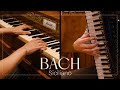 BACH - Flute Sonata in E♭ Major, II. Siciliano | Accordion & Historical Piano (1824)