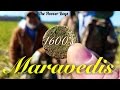 1600's Metal Detecting in the USA | Maravedis