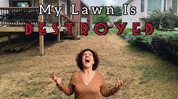 The Effects Of Pythium Blight Fungus