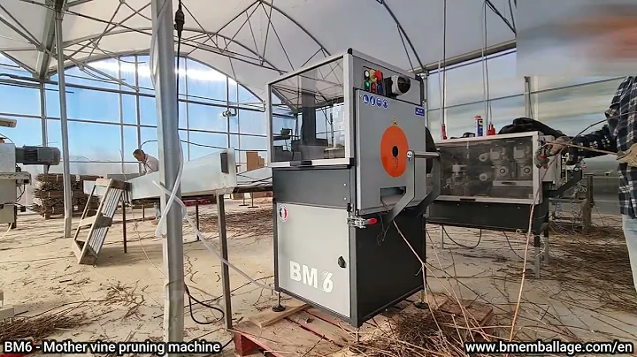 BM emballage - BM6 - US - 2024