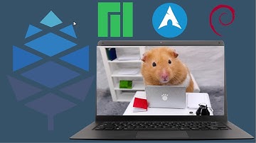 The Best 3 OSes (I think) Available For the Pinebook Pro