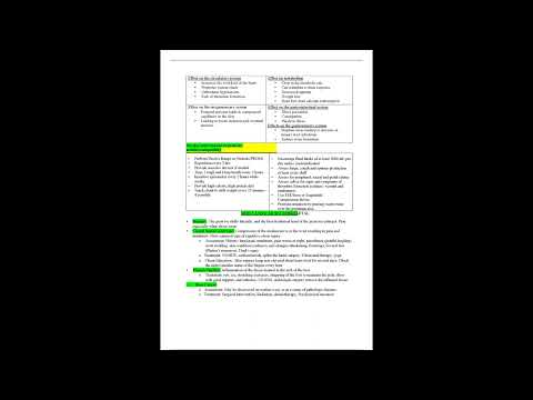 Kinesiology Final Exam Quizlet