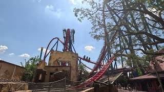 SheiKra - Floorless Dive Roller Coaster | Busch Gardens Tampa