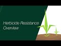 Bayer Best Practices: Herbicide Resistance Management