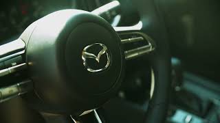 Nelson CX5 Cool Springs 2