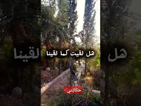 ذكرينا ضياع شوق فراق حنين حزن اشتراك اكسبلور 