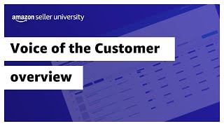 Voice of the Customer overview