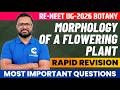 Re-NEET UG 2026 Botany Morphology of a Flowering Plant Rapid Revision Important Questions