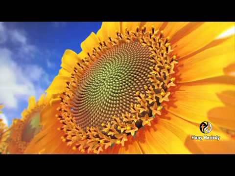 رباعيات جاهين بصوت مكاوي 2