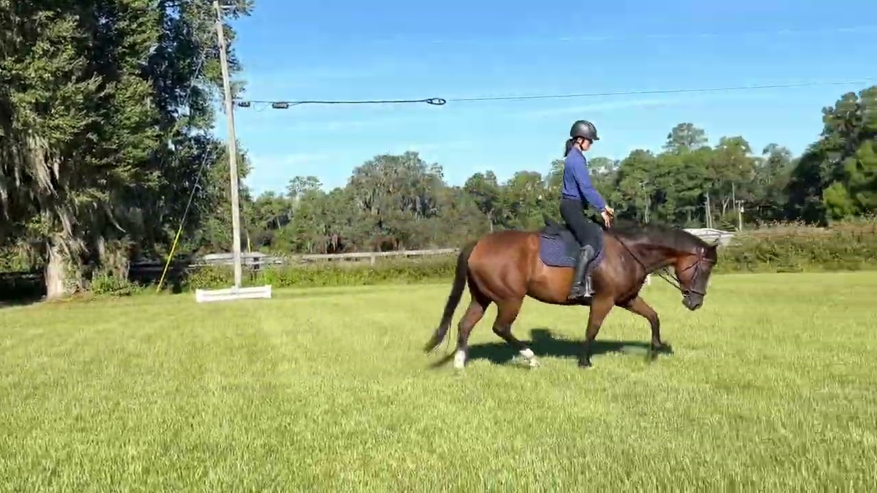 Stretchy trot with a horse that struggles to stretch