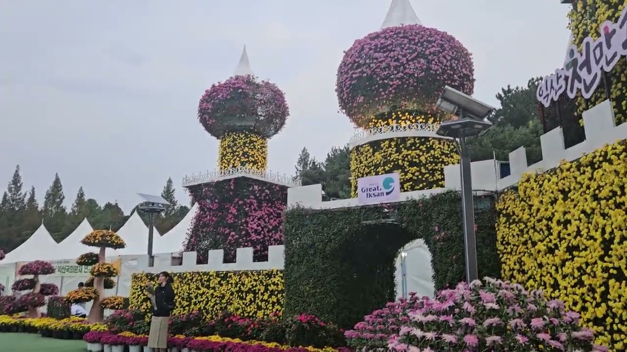 천만송이 국화축제 