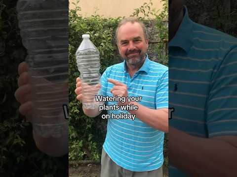 Watering your plants