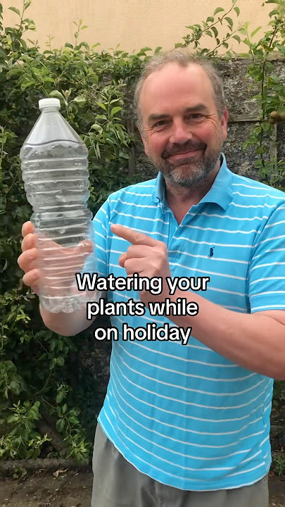 Watering your plants when on holiday