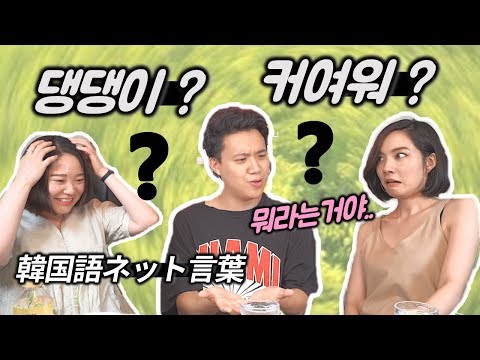 한국인들만의-비밀을-공개해서-죄송합니다..ㅋㅋ