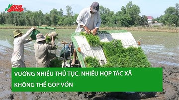 Vướng nhiều thủ tục, nhiều hợp tác xã không thể góp vốn