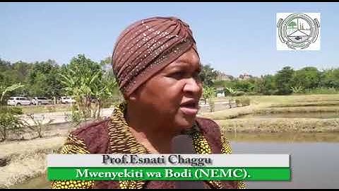 ZIARA YA NEMC JIJINI MWANZA KUKAGUA NAMNA YA KUTHIBITI GUGU MAJI ZIWA VICTORIA