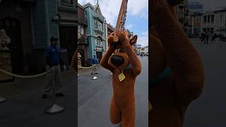 IS THAT SCOOBY OR JAWS?? #ScoobyDoo #Scooby #Jaws #Shark #UniversalStudios #Funny #Shorts #Lol #Meme