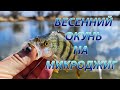 Микроджиг ранней весной. Окунь на пассивные приманки.