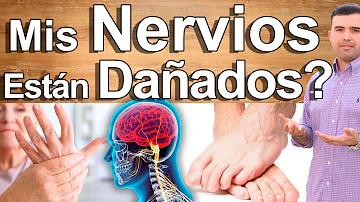 ¿Cuáles son los síntomas de los problemas nerviosos?