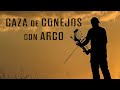 CAZA de CONEJOS con ARCO / Lances de caza con arco en descaste
