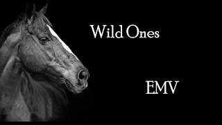 Wild Ones - Equestrian Music Video