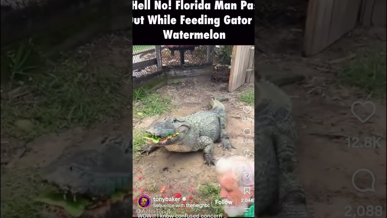 DISTURBING!🐊😱 FLORIDA MAN PASSES OUT INSIDE GATOR PEN—THEN THE UNBELIEVABLE HAPPENS! 🍉🐊 The Reaction