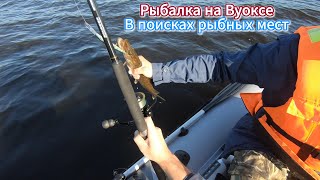 видео: Рыбалка на Вуоксе 2024. В поисках рыбных мест ✌️/ Fishing on Vuoksa 2024✌️ #shorts #fishing #рыбалка картинка: Рыбалка на Вуоксе 2024. В поисках рыбных мест ✌️/ Fishing on Vuoksa 2024✌️ #shorts #fishing #рыбалка