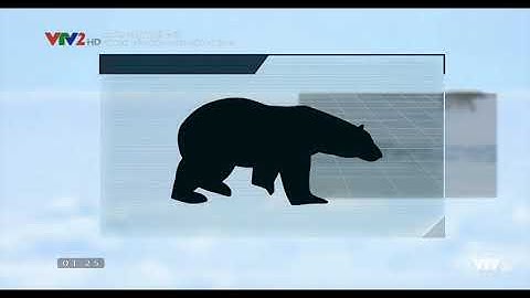 [VTVLIFE - THẾ GIỚI ĐỘNG VẬT] - Câu chuyện về gấu Bắc Cực