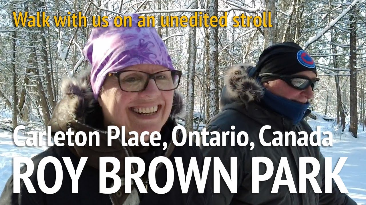 Walking Through Beautiful Snowy Woods - A Magical Winter Wonderland in Ontario