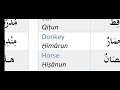 Common English To Arabic Vocabulary 02 Learn Arabic To English Vocabulary Spoken Arabic Language 