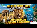 Animals Documentary: The Science of Wild Survival