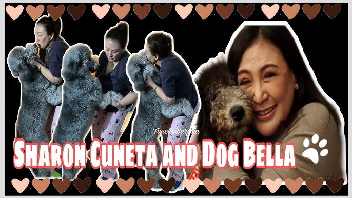 Sharon Cuneta buys Louis Vuitton collar for her adopted pet dog