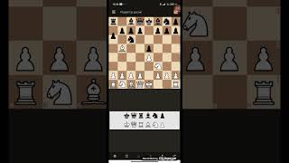 шахматы от нуля урок 2