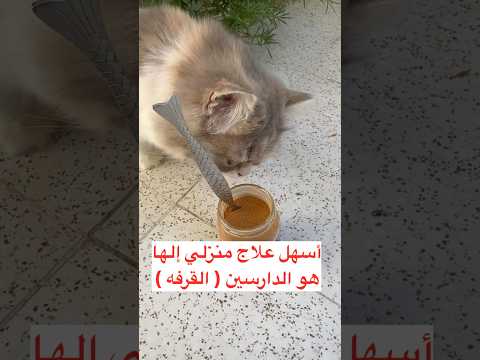 إذا شفت نمل بزرعك لا ترشه جرب هذا الحل أولا نمل زرع نباتات    مكافحة