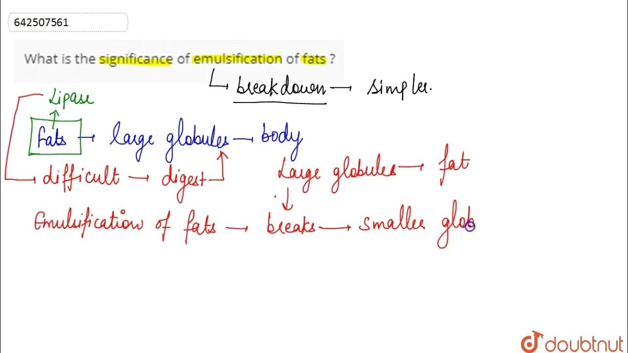 What is the significance of emulsification of fats ? 10 LIFE