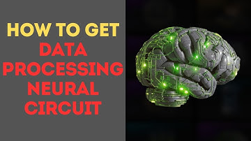 How to Get Data Processing Neural Circuit in The First Descendant