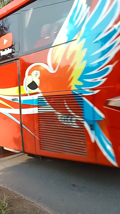 Basuri Poco-Poco dari bus sumex 'McQueen macaw'