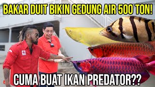 SADIS!! BAKAR DUIT BIKIN GEDUNG AIR 500 TON!! CUMA BUAT IKAN PREDATOR?? RDI RED DRAGON INDONESIA