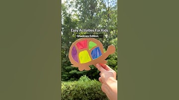 Can Light Do This?!? 3 Fun Experiments #science #scienceexperiments #light