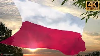 Polish Flag & National Anthem 4K [CC]