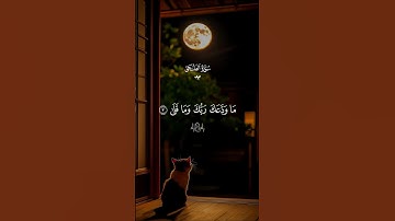 سورة الضحى… كاملة ارح قلبك ♡| #قرآن #تلاوة_خاشعة #ماهر_المعيقلي #راحة_نفسية #تابعوني #اكسبلور #لايك