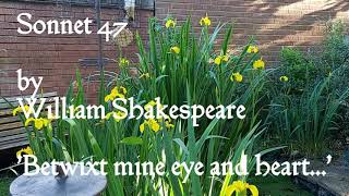 Sonnets Shakespeare Sonnet 47