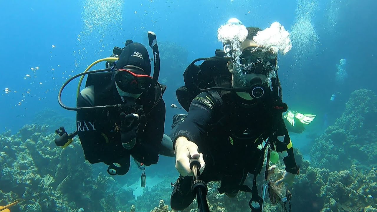 Jeddah Whaleshark Divers Scuba Diving at IONA Shipwreck Yanbu