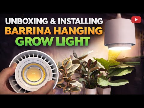 This Grow Light Changed My Basement Greenhouse!
