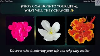 Who's Coming Into Your Life & What Will They Change ✨#pickacharm #tarotreading #ctarotenglish 