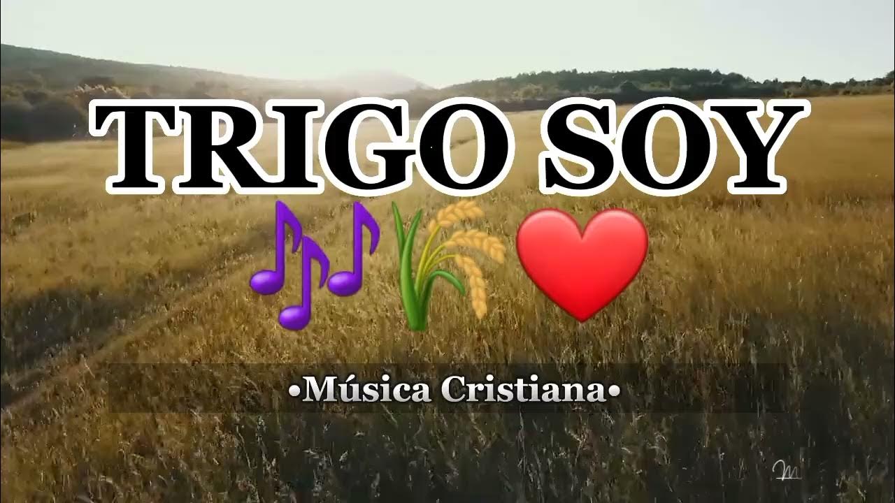 Trigo Soy - Música Cristiana. - YouTube