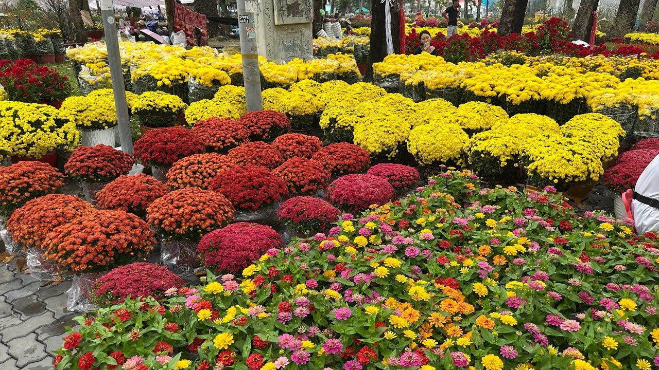 Dạo chợ hoa tết và xem nấu bánh chưng